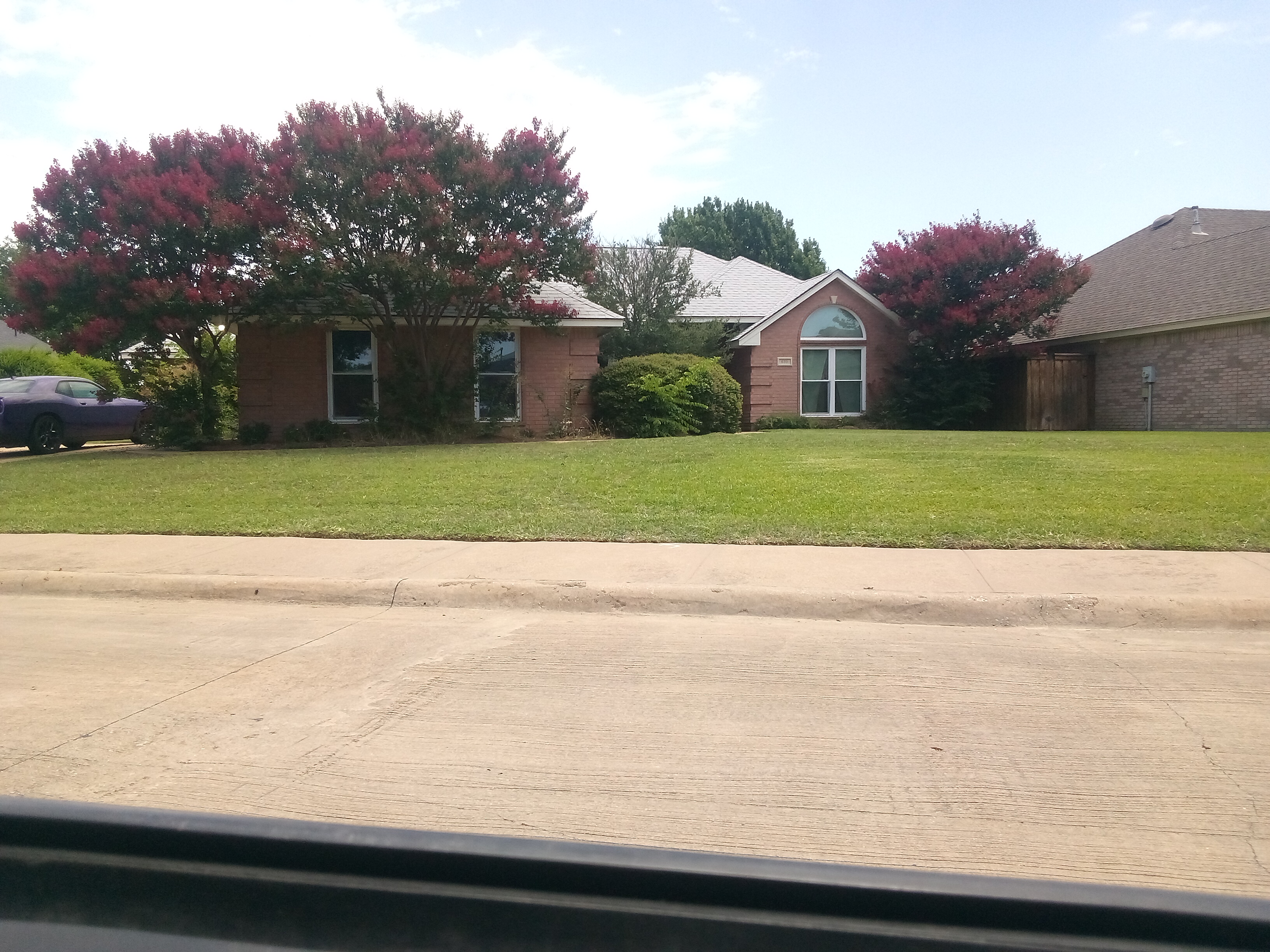Row 28 photo 2