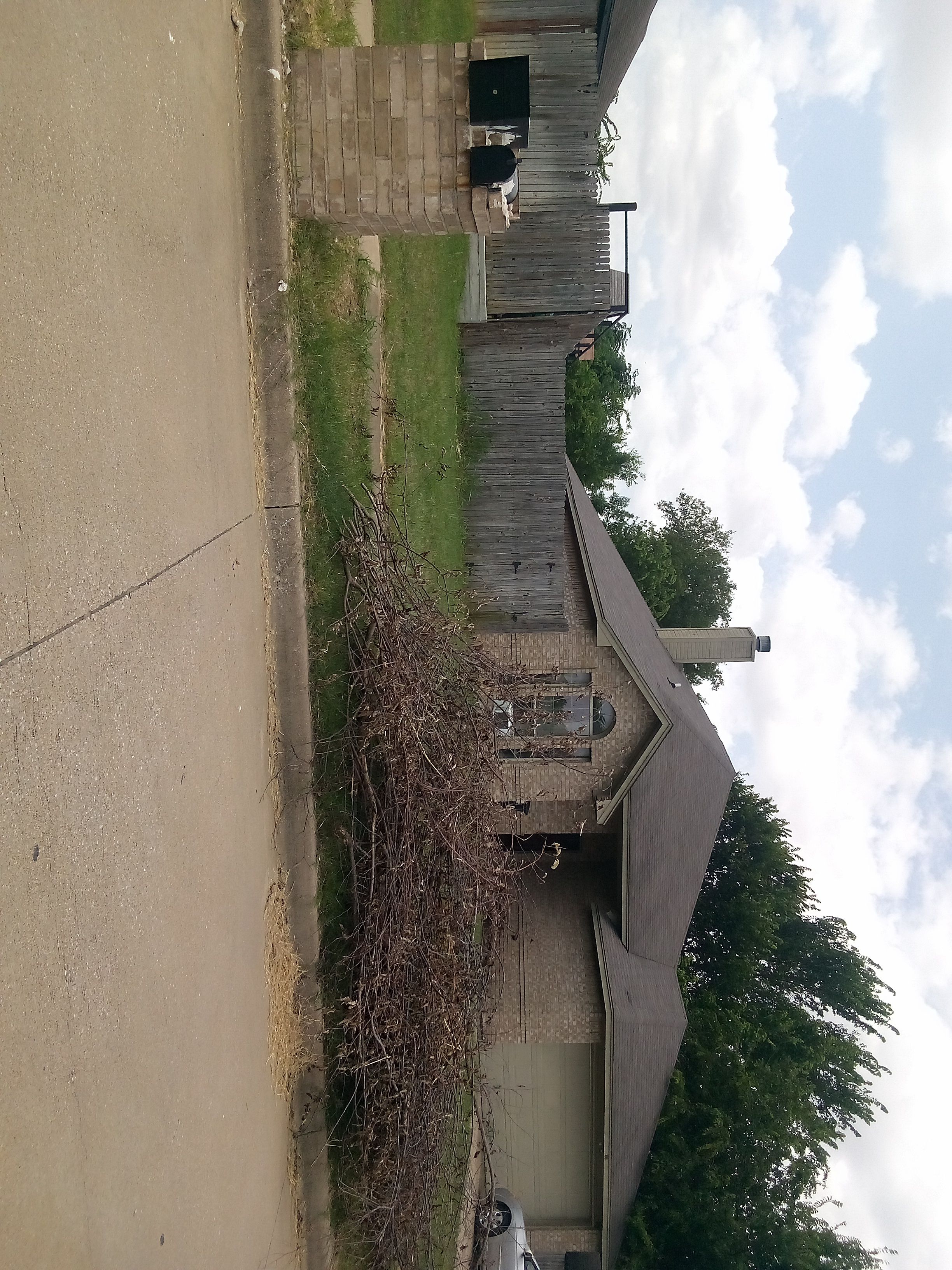 Row 41 photo 1