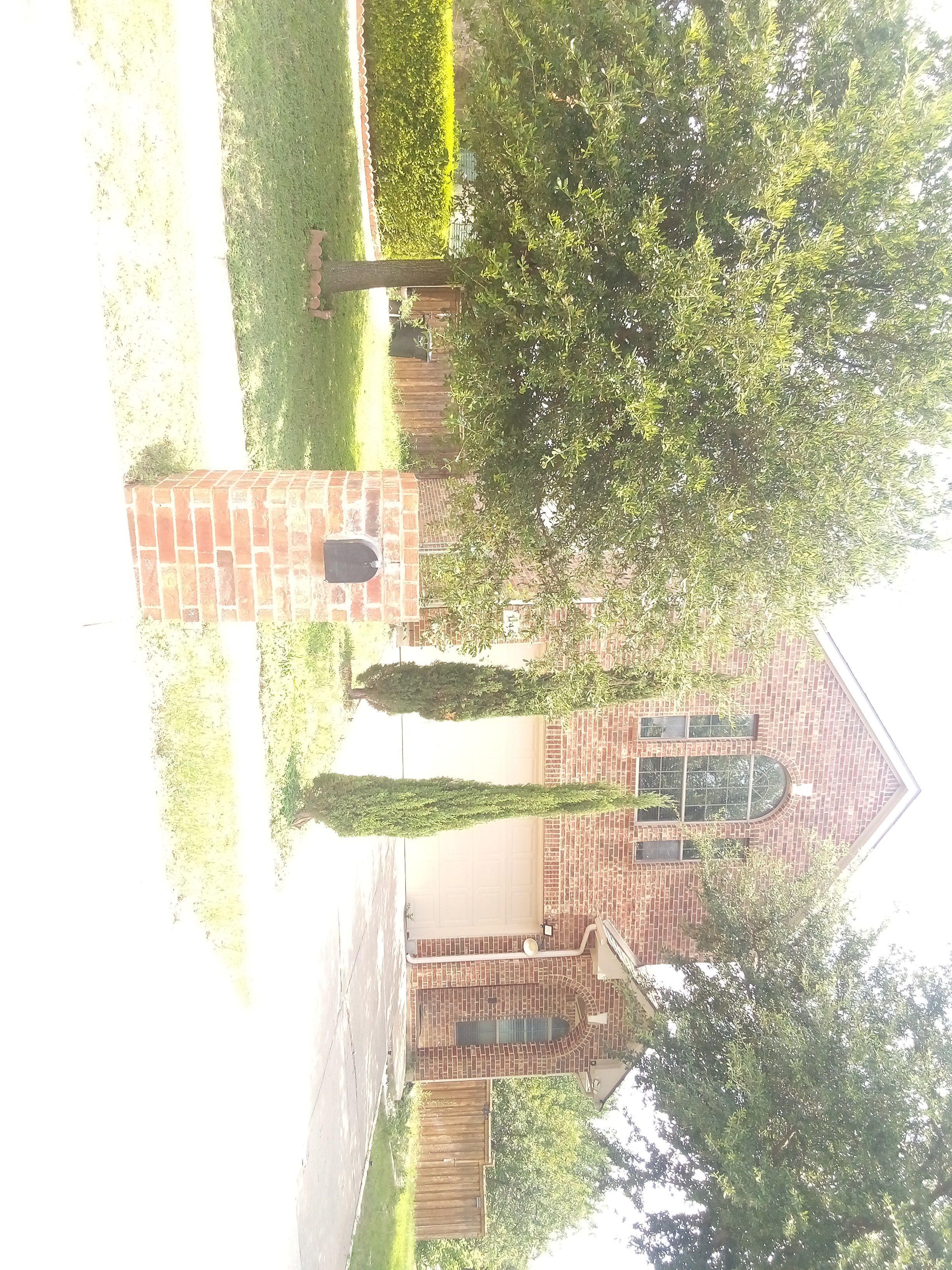 Row 52 photo 1