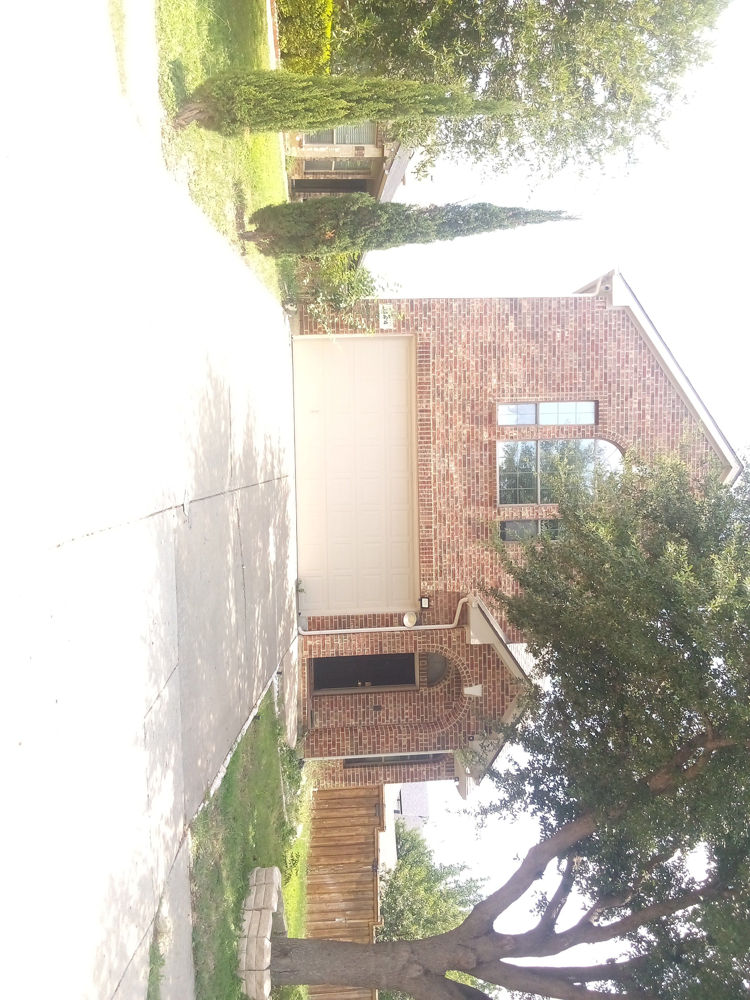 Row 52 photo 2