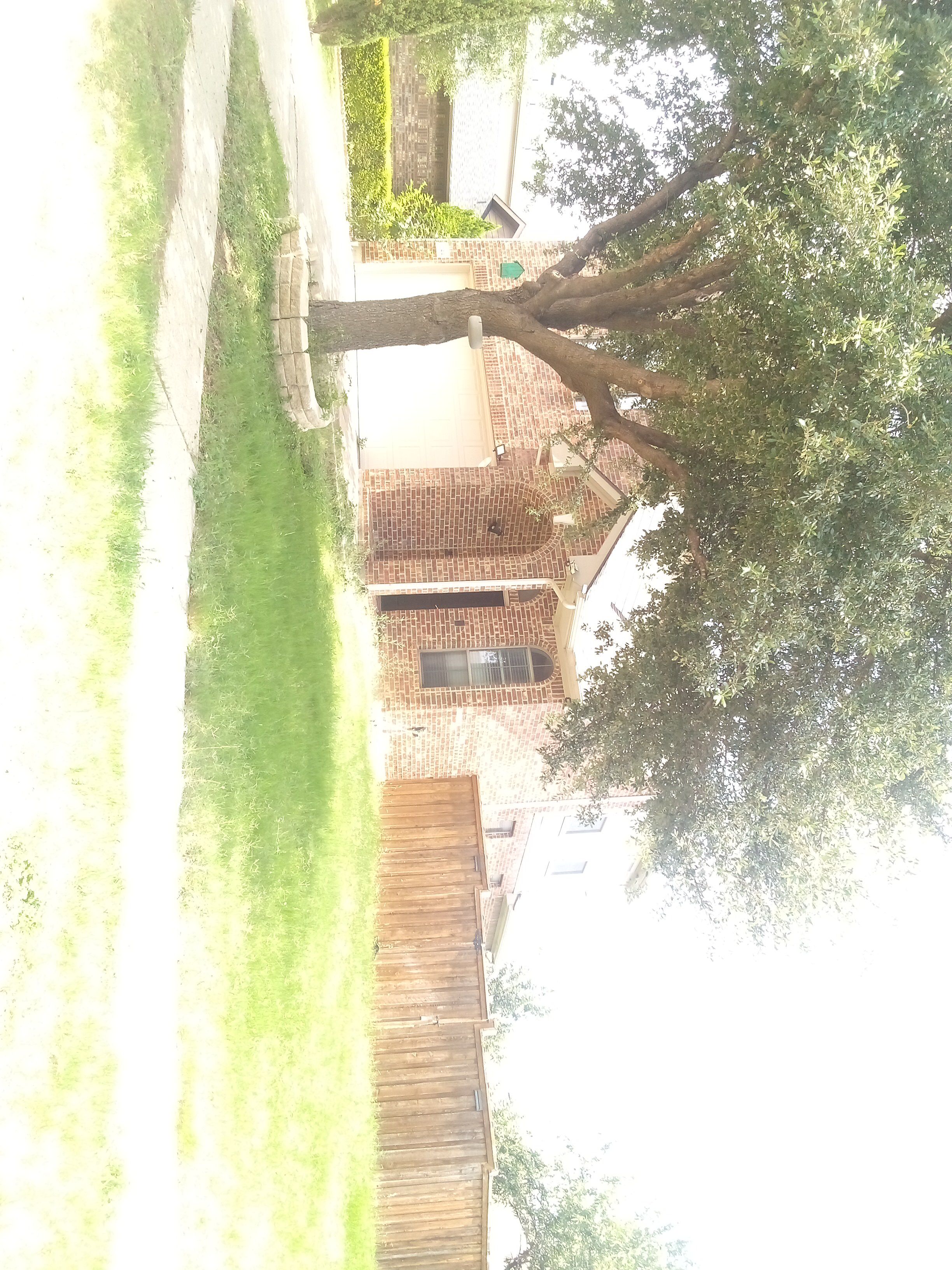 Row 52 photo 3