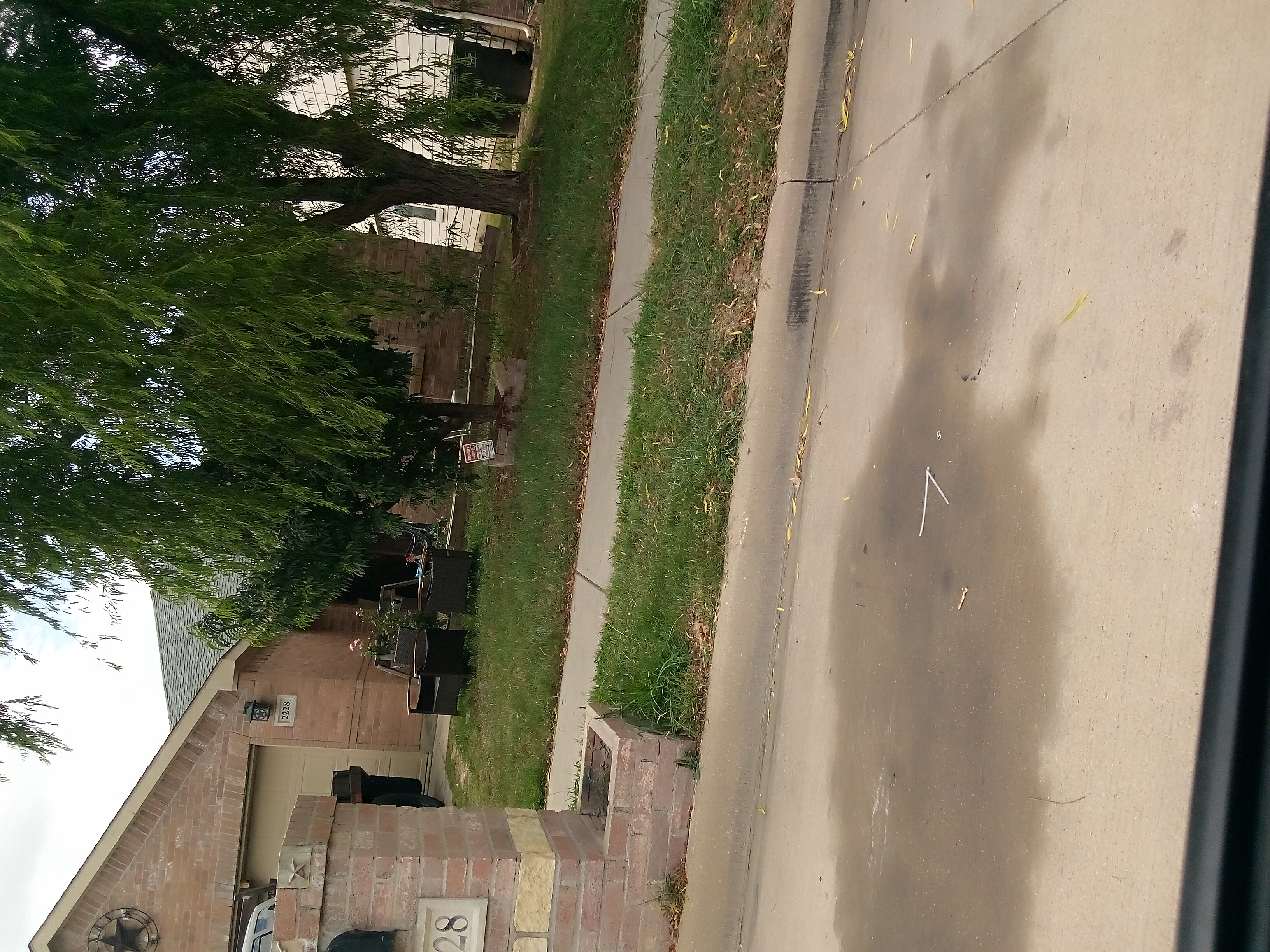 Row 59 photo 2