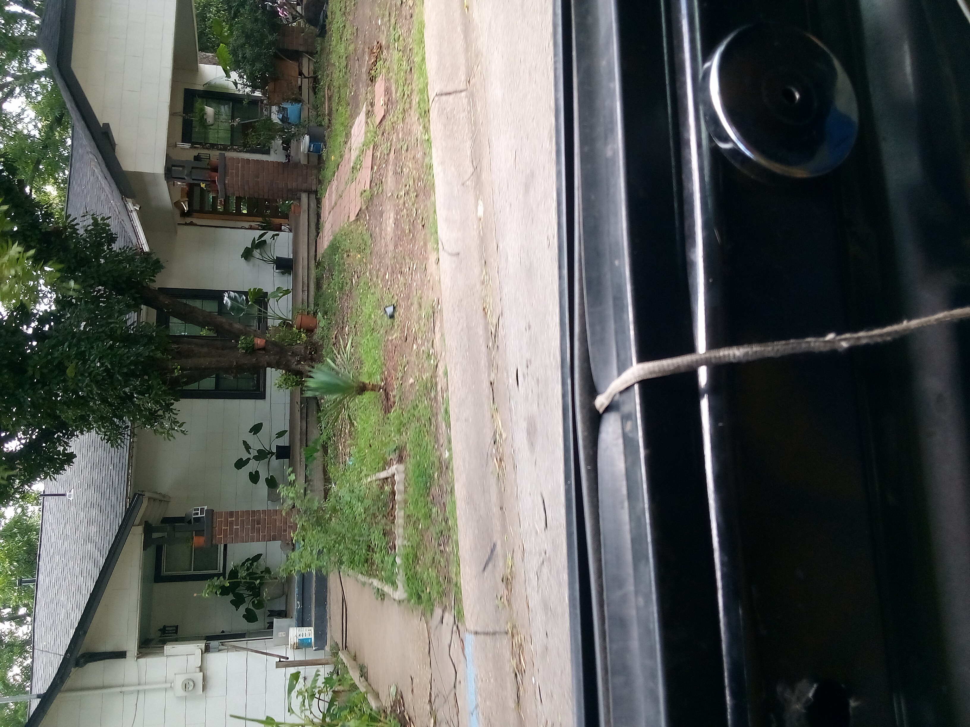Row 68 photo 2