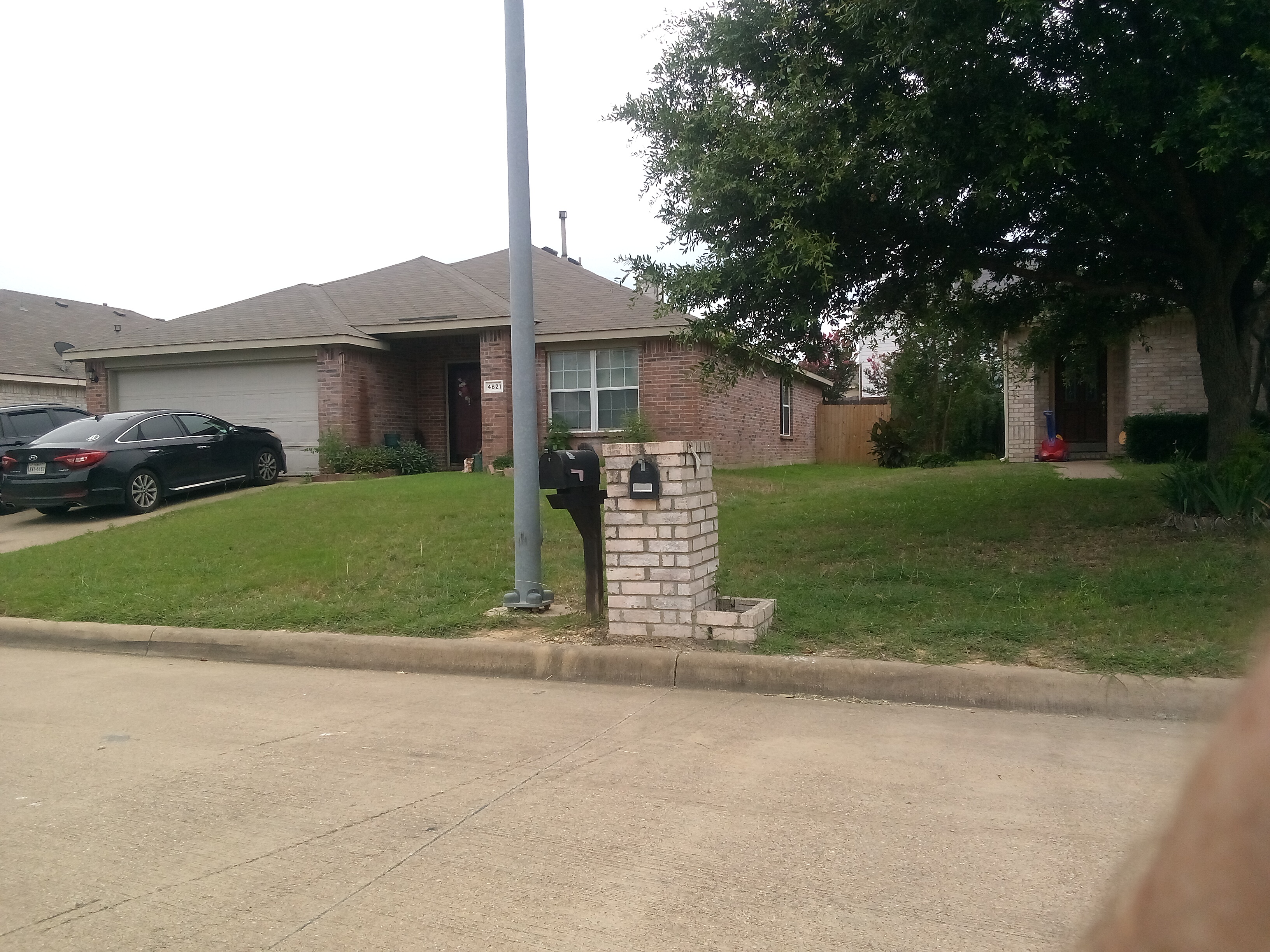 Row 73 photo 3