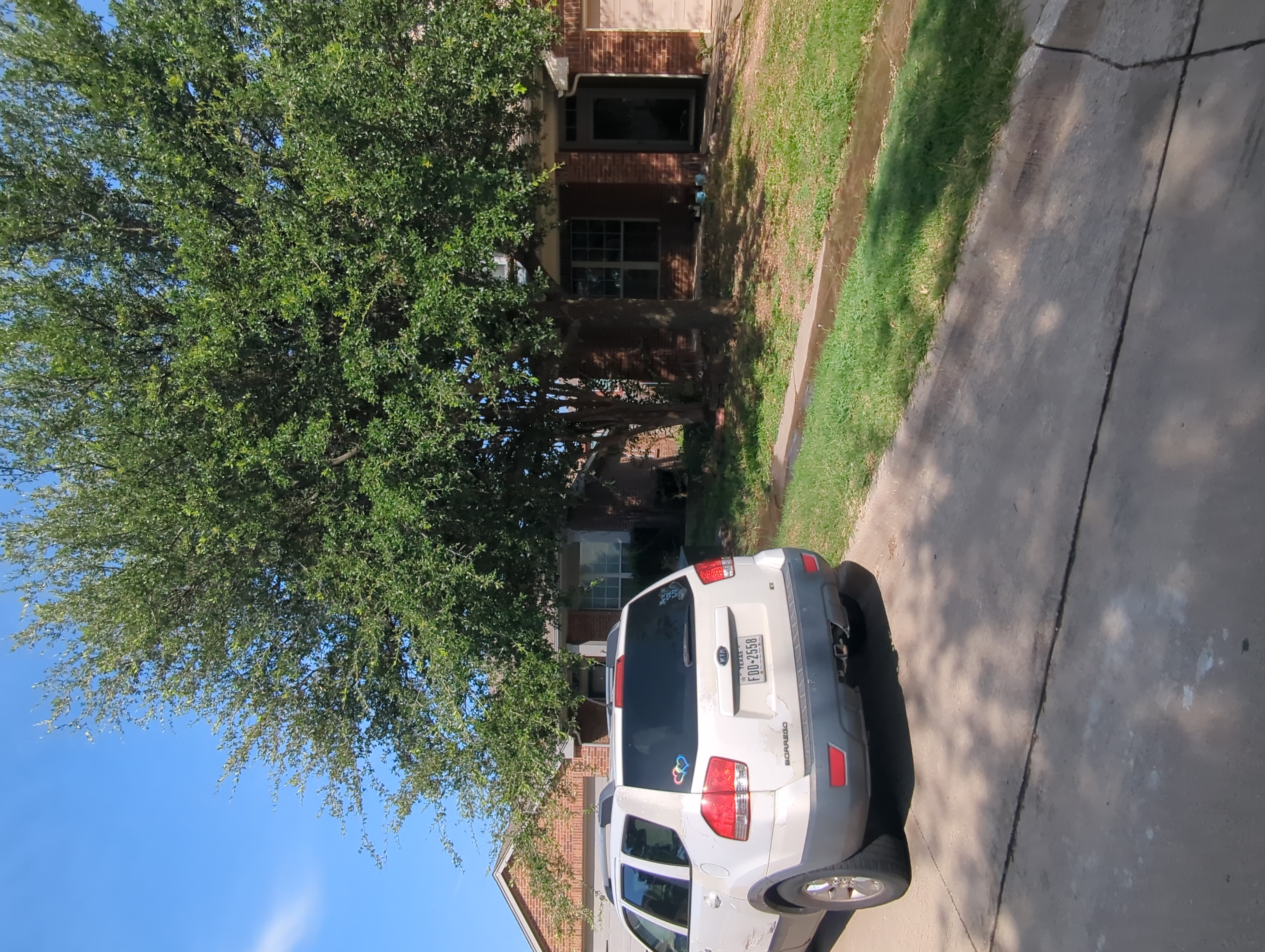 Row 76 photo 3