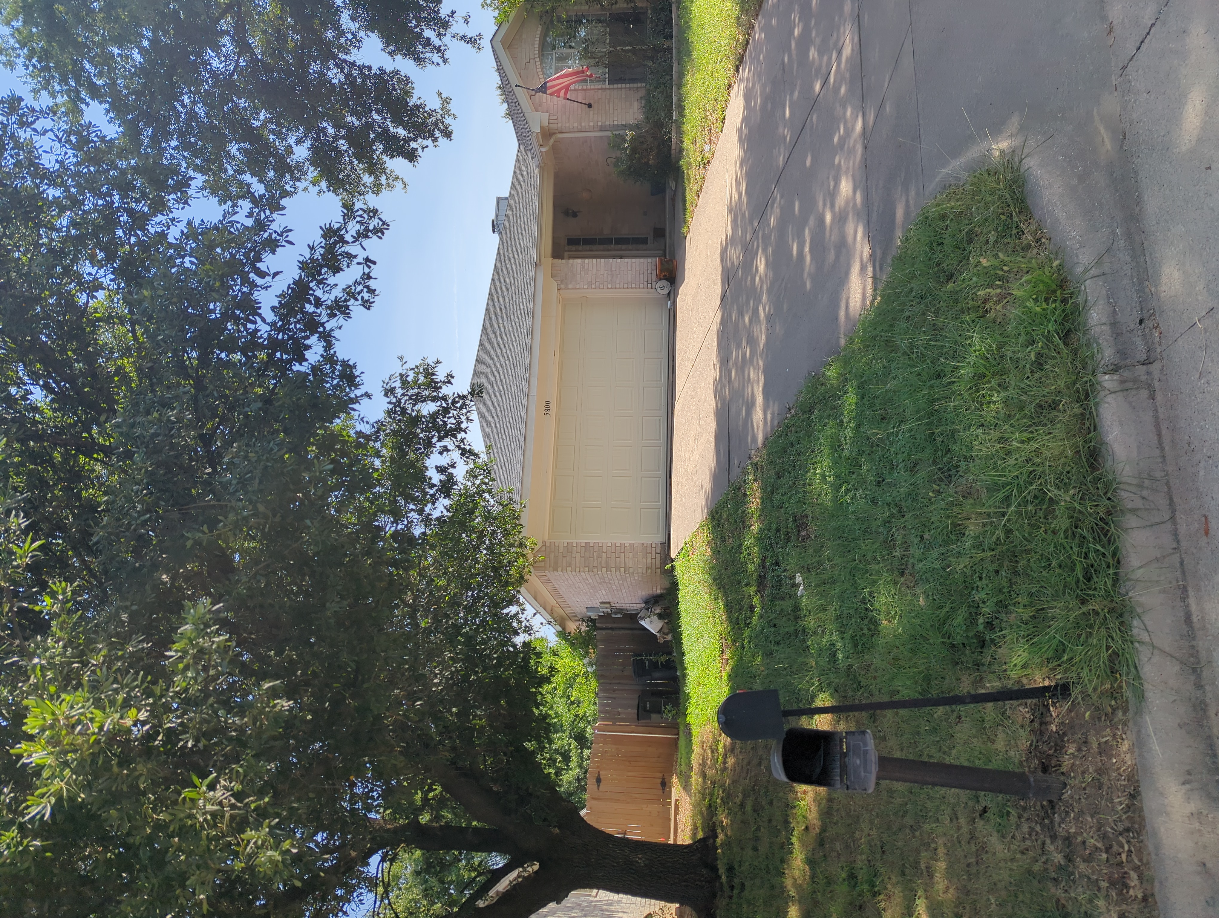Row 77 photo 2