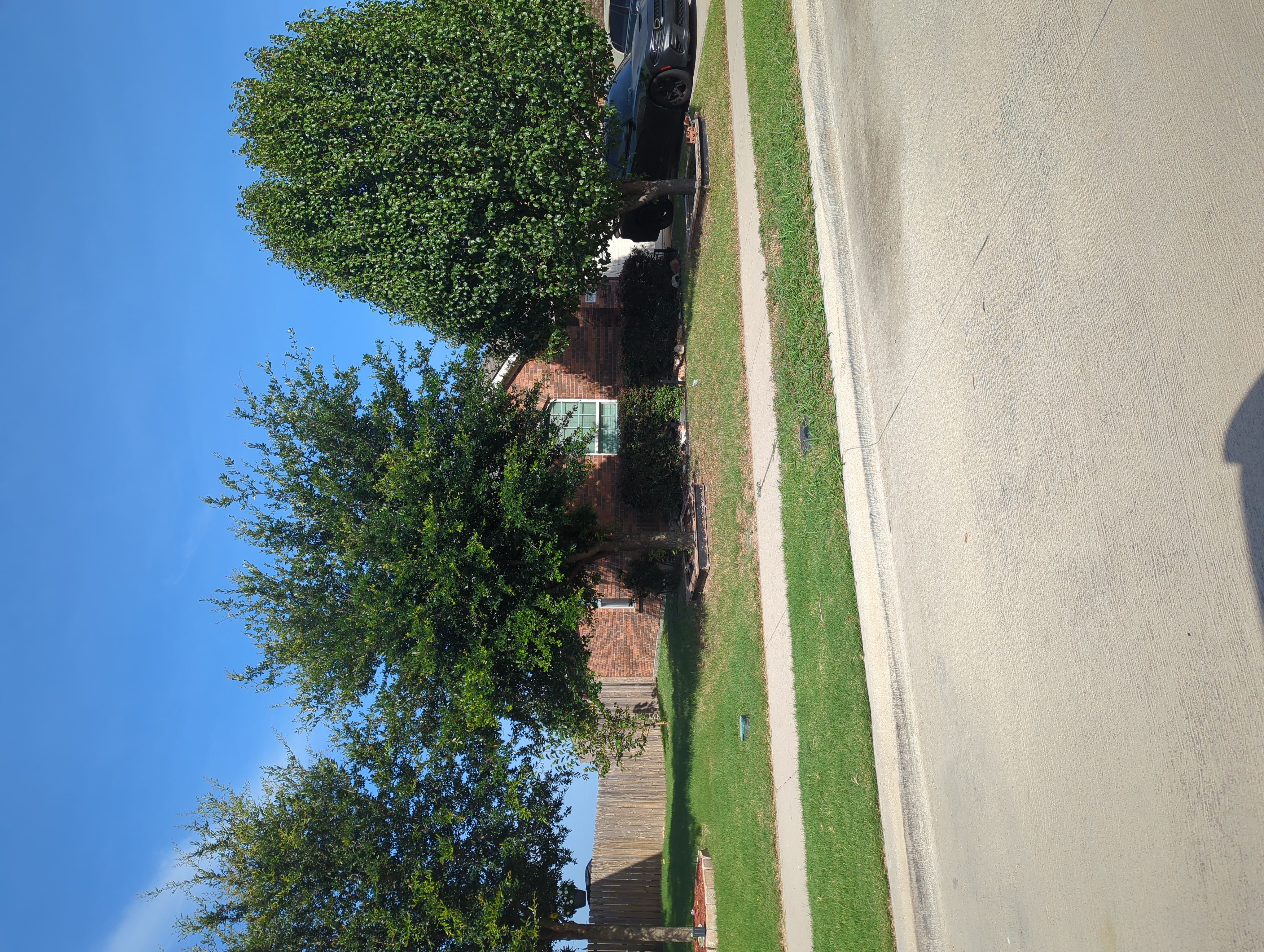 Row 82 photo 1