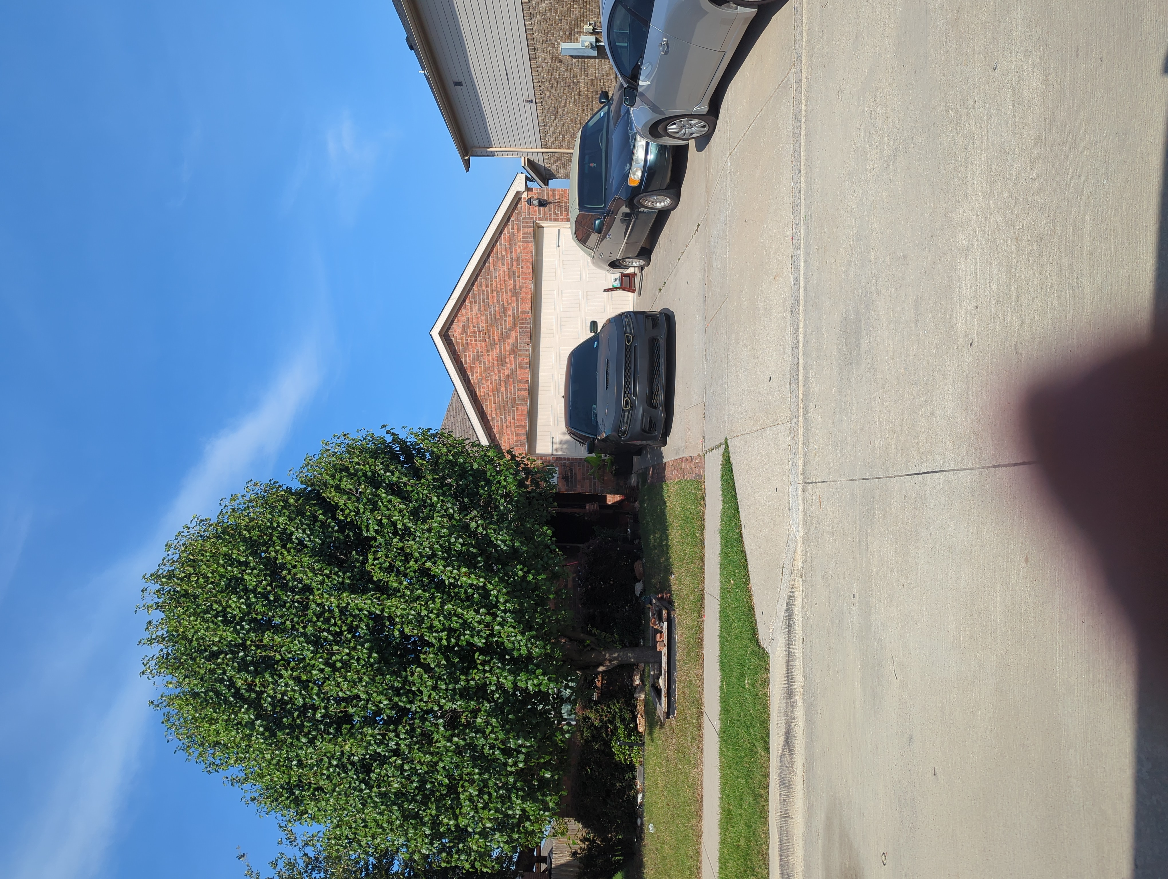 Row 82 photo 2