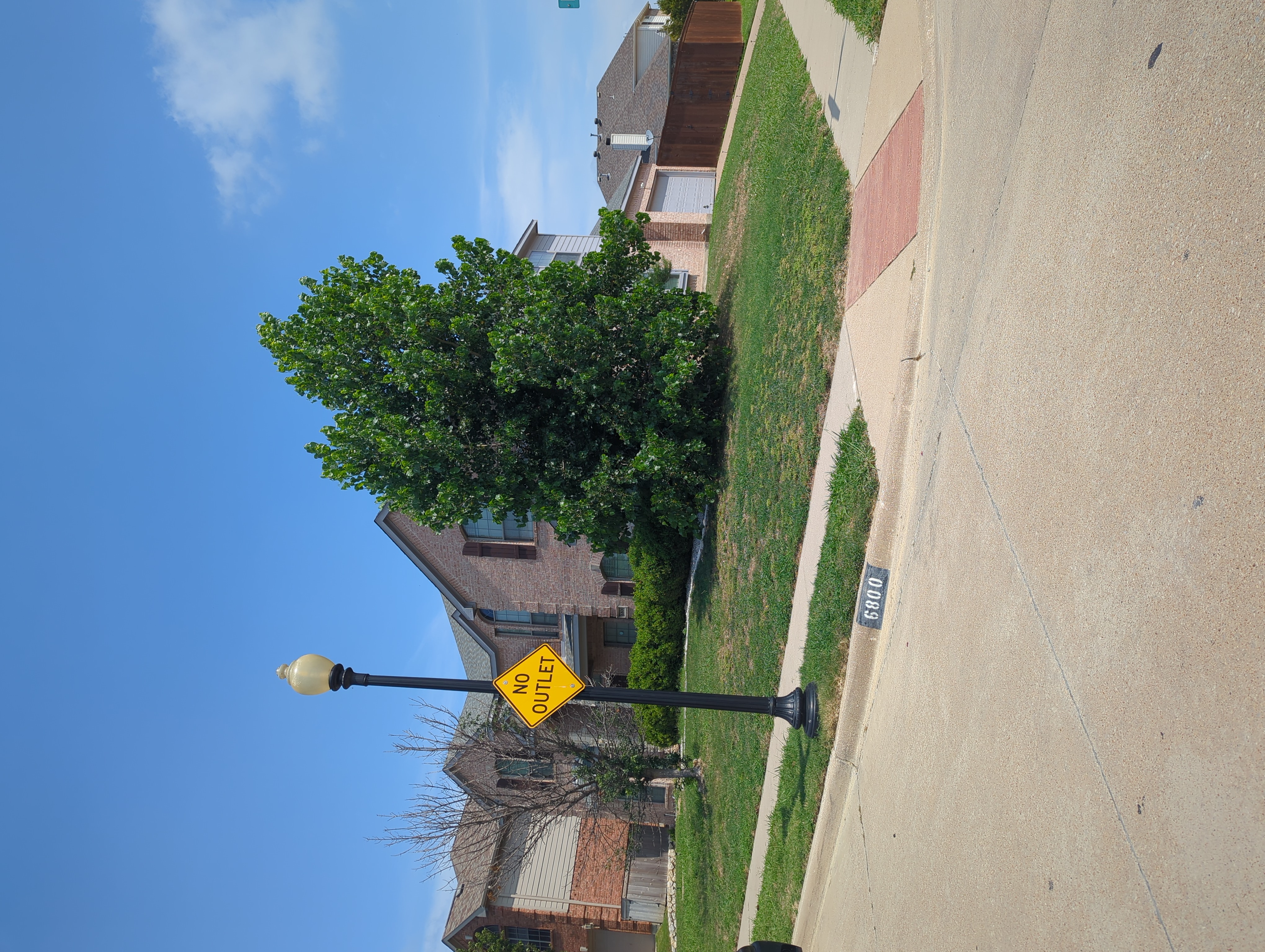 Row 85 photo 3