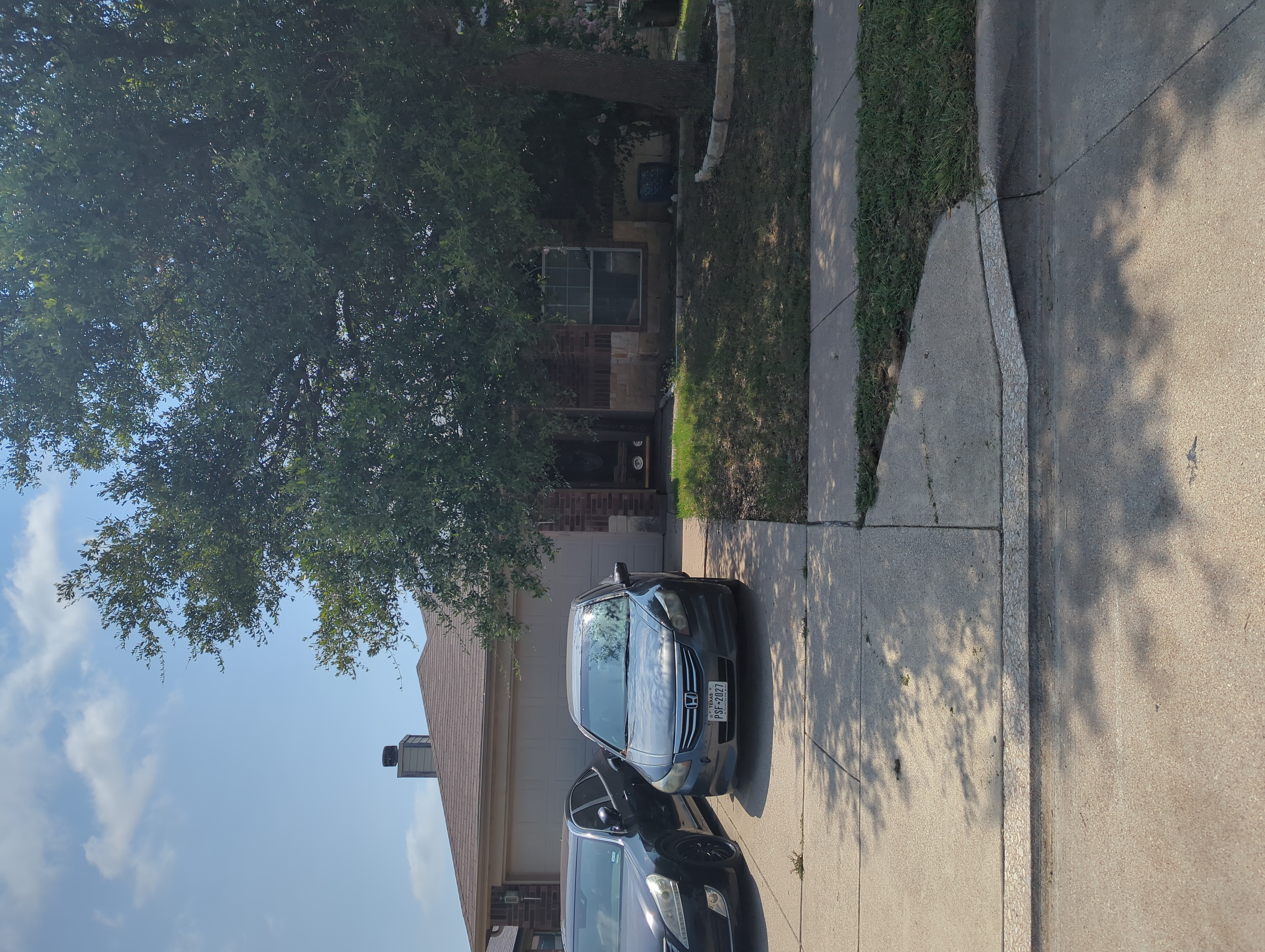 Row 95 photo 2