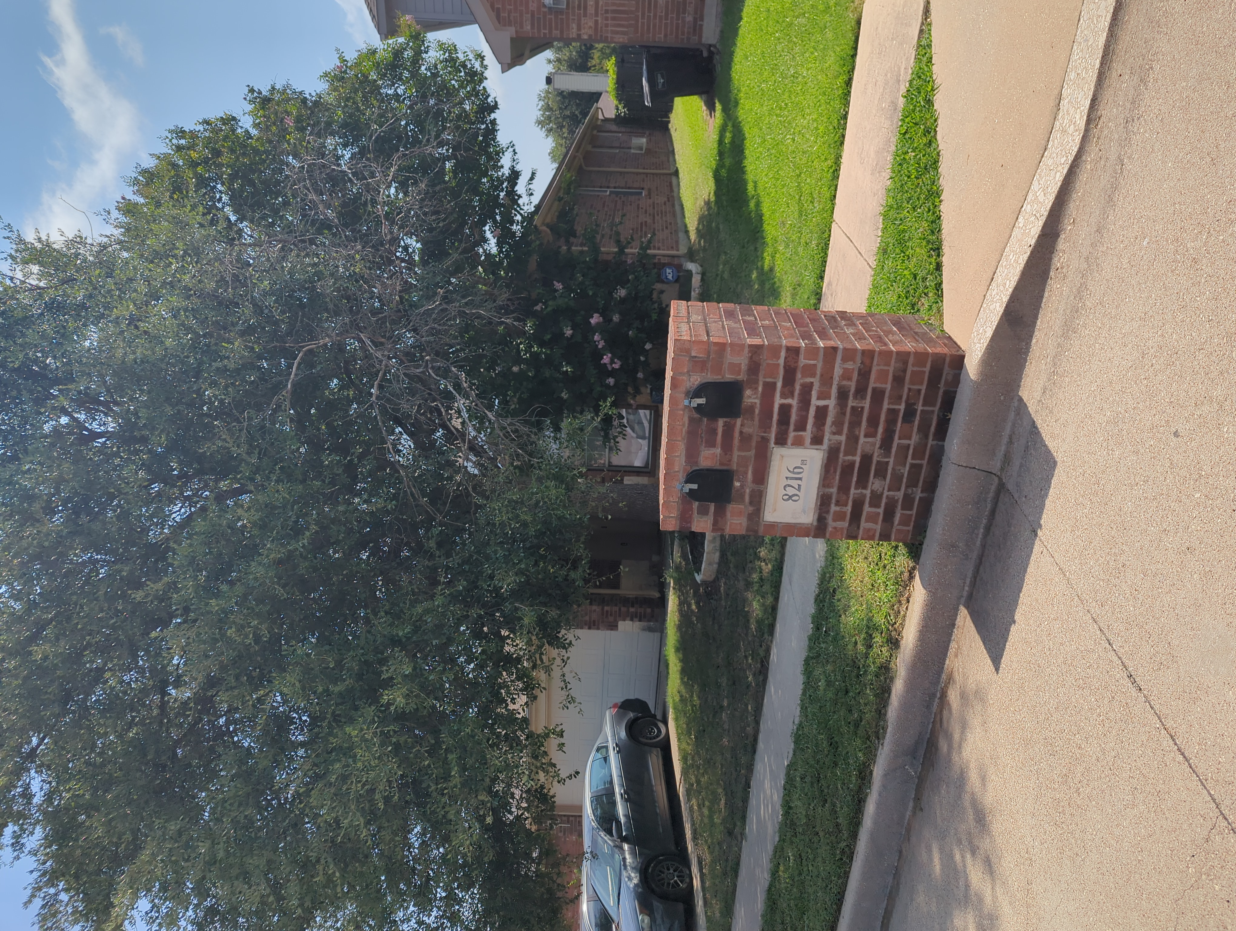 Row 95 photo 3