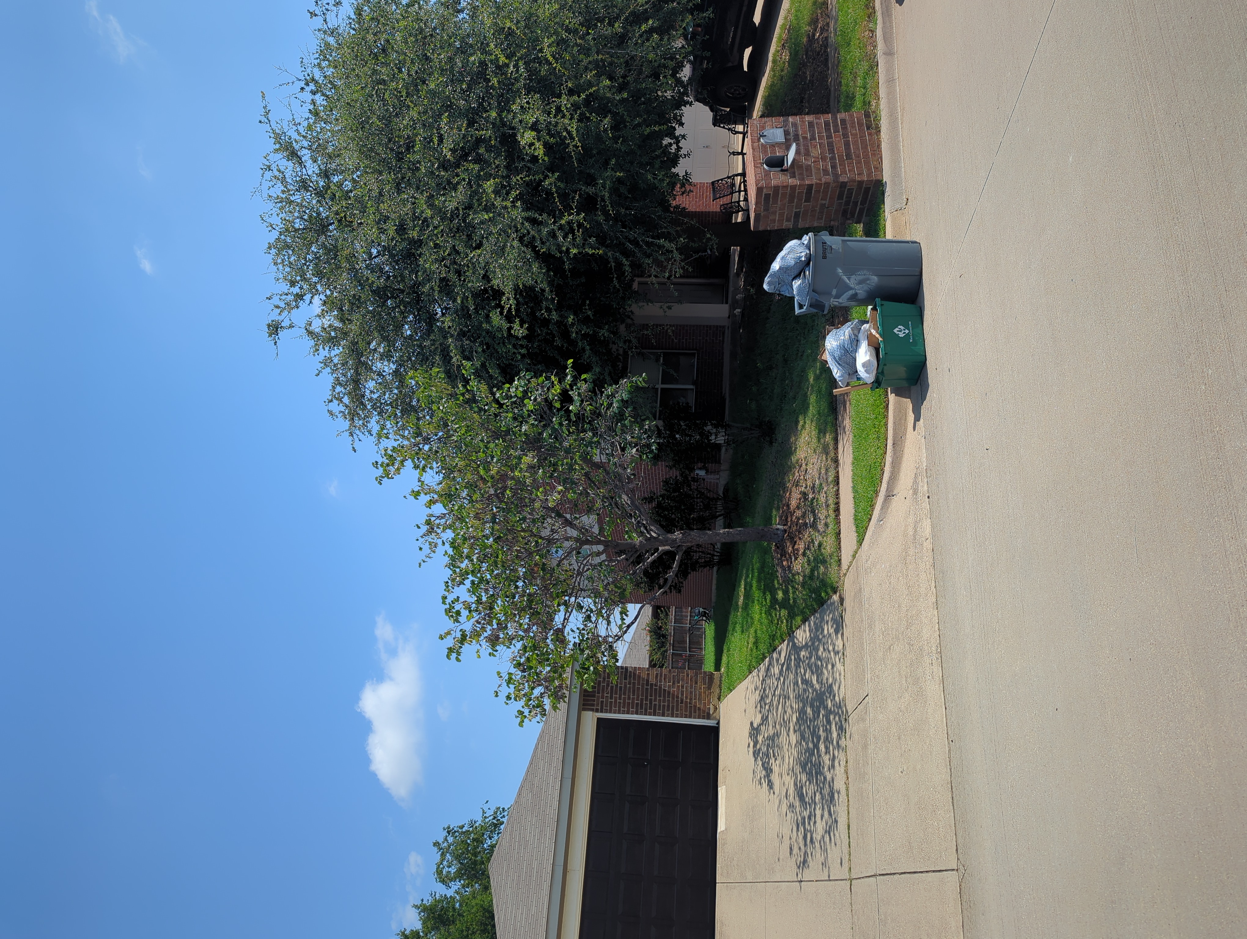 Row 142 photo 1