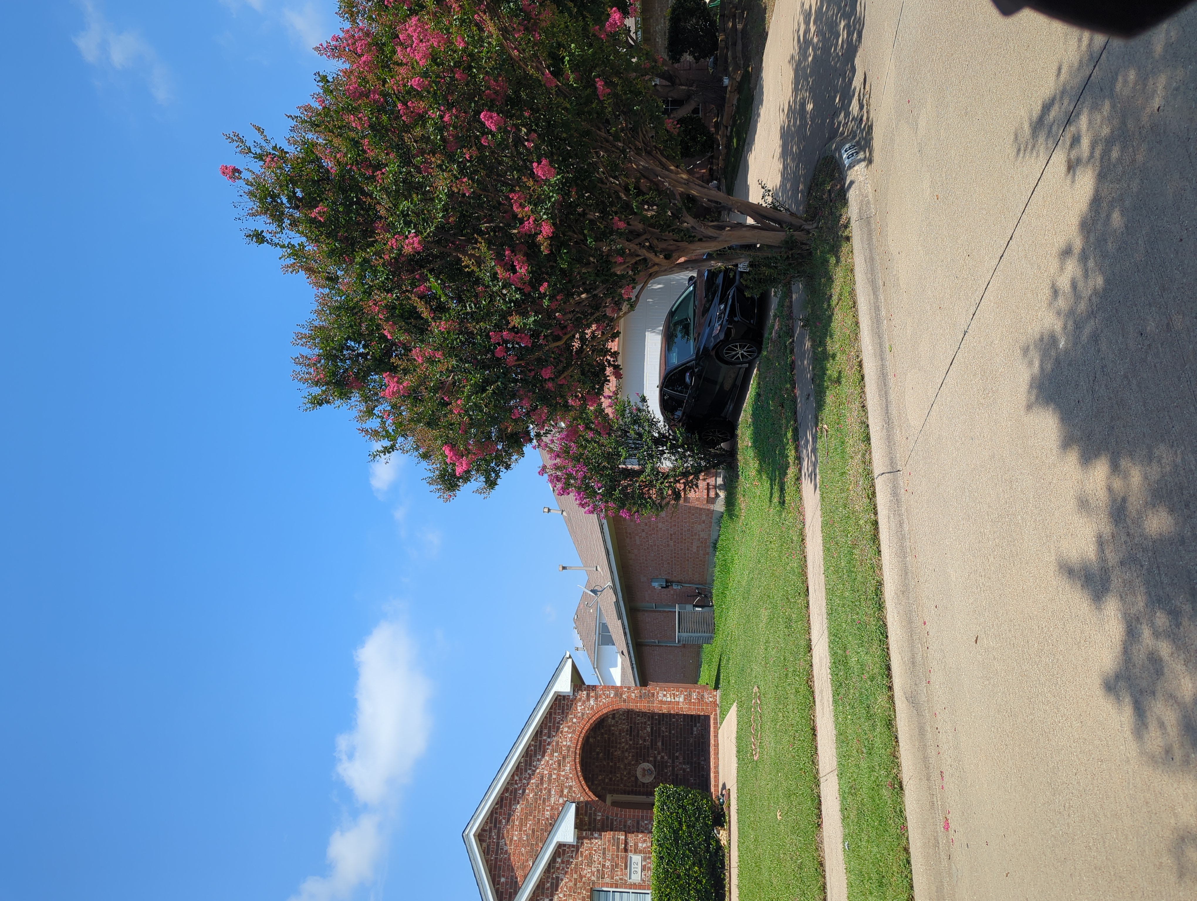 Row 144 photo 1